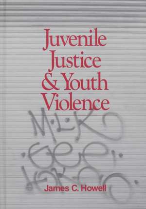 Juvenile Justice and Youth Violence de James C. Howell