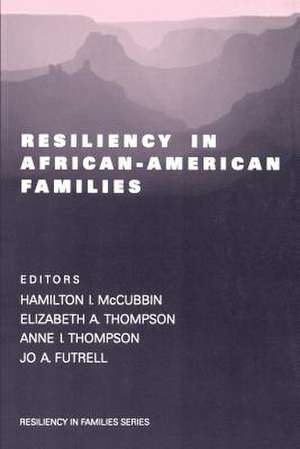 Resiliency in African-American Families de Hamilton Ii McCubbin