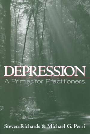 Depression: A Primer for Practitioners de Steven Richards