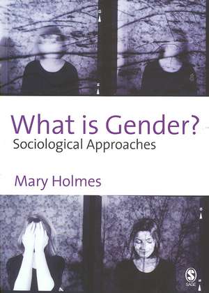 What is Gender?: Sociological Approaches de Mary Holmes