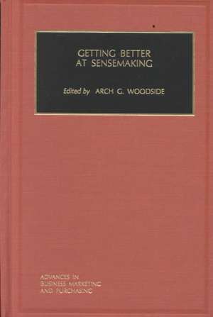 Getting Better at Sensemaking de Arch G. Woodside