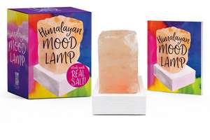 Himalayan Mood Lamp: Made with Real Salt! de Marlo Scrimizzi