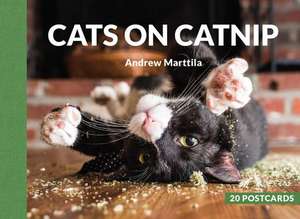 Cats on Catnip: 20 Postcards de Andrew Marttila