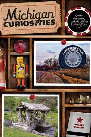 Michigan Curiosities de Colleen Burcar