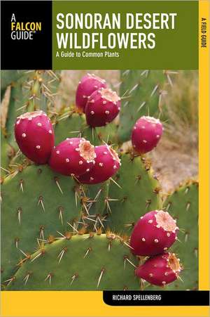 Sonoran Desert Wildflowers de Richard Spellenberg