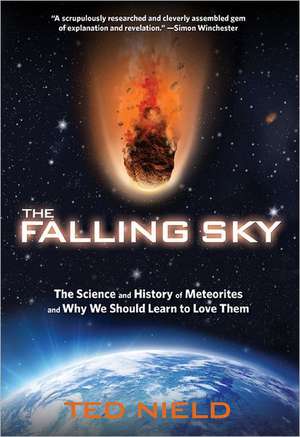 Falling Sky de Ted Nield