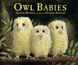 Owl Babies de Martin Waddell