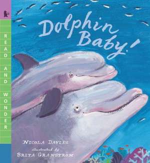 Dolphin Baby! de Nicola Davies