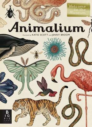 Animalium: Welcome to the Museum de Jenny Broom