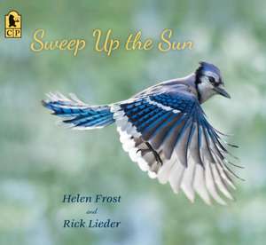 Sweep Up the Sun de Helen Frost