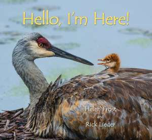 Hello, I'm Here! de Helen Frost