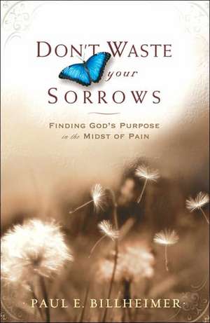 Don't Waste Your Sorrows: Finding God's Purpose in the Midst of Pain de Paul E. Billheimer