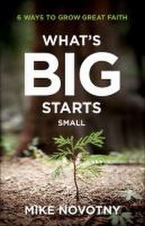 What`s Big Starts Small – 6 Ways to Grow Great Faith de Mike Novotny