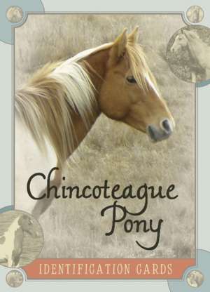 Chincoteague Pony Identification Cards de Lois Szymanski