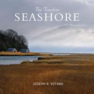 The Timeless Seashore de Joe Votano