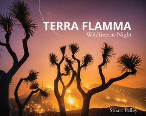 Terra Flamma: Wildfires at Night de Stuart Palley