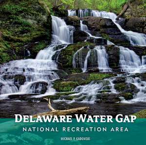 Delaware Water Gap National Recreation Area de Michael P. Gadomski