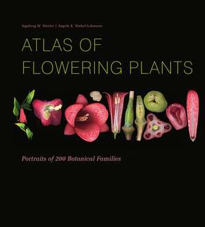 Atlas of Flowering Plants de Ingeborg M Niesler