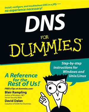 DNS for Dummies de BR Rampling