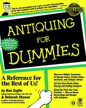 Antiquing For Dummies de R Zoglin