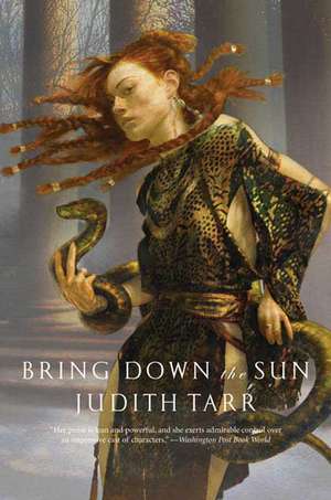 Bring Down the Sun de Judith Tarr