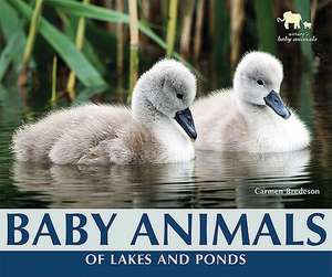 Baby Animals of Lakes and Ponds de Carmen Bredeson