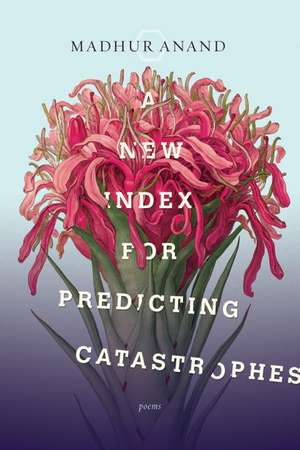 A New Index for Predicting Catastrophes de Madhur Anand