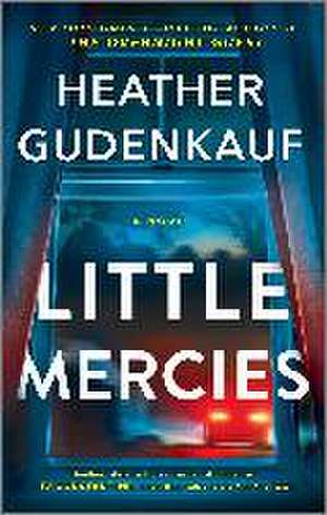 Little Mercies de Heather Gudenkauf