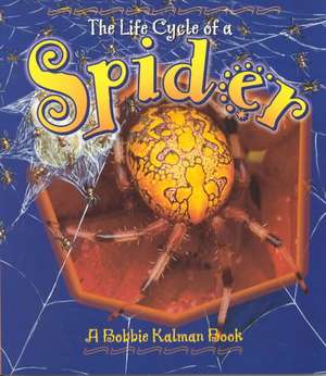 Spider de Bobbie Kalman