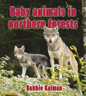 Baby Animals in Northern Forests de Bobbie Kalman