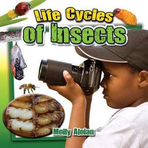 Life Cycles of Insects de Molly Aloian