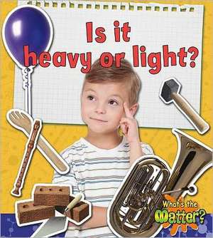 Is It Heavy or Light? de Susan Hughes