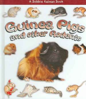 Guinea Pigs and Other Rodents de Bobbie Kalman