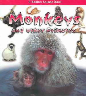 Monkeys and Other Primates de Rebecca Sjonger