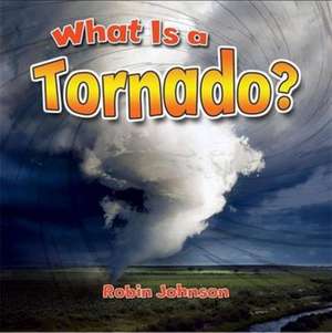 What Is a Tornado? de Robin Johnson
