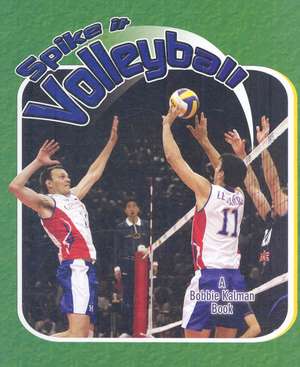 Spike It Volleyball de John Crossingham