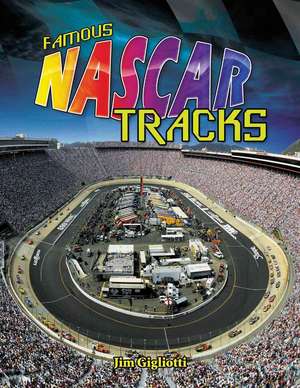 Famous NASCAR Tracks de Jim Gigliotti