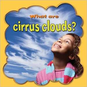 What Are Cirrus Clouds? de Lynn Peppas