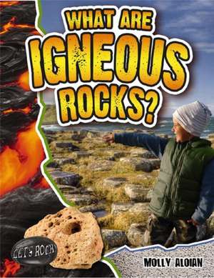 What Are Igneous Rocks? de Molly Aloian