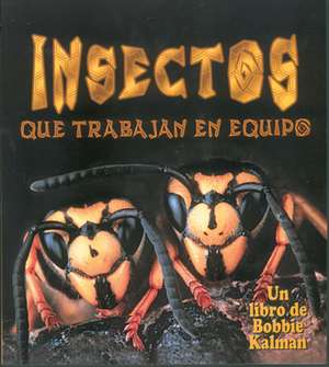 Insectos Que Trabajan En Equipo de Molly Aloian