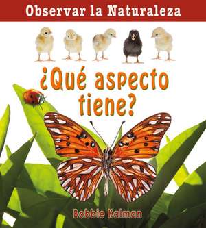 Que Aspecto Tiene? = How Does It Look? de Bobbie Kalman