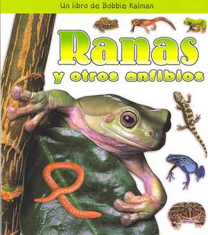 Ranas y Otros Anfibios de Bobbie Kalman