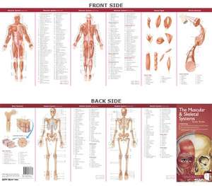 Anatomical Chart Company's Illustrated Pocket Anatomy: The Muscular & Skeletal Systems Study Guide de Anatomical Chart Company