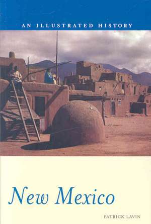 New Mexico: An Illustrated history de Patrick Lavin