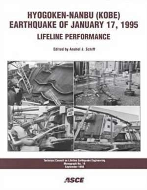 Hyogoken-Nanbu (Kobe) Earthquake of January 17, 1995 de Anshel J. Schiff