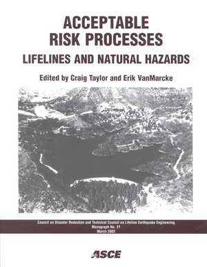 Acceptable Risk Processes de Craig Taylor