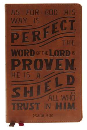 NKJV, Personal Size Reference Bible, Verse Art Cover Collection, Leathersoft, Tan, Red Letter, Comfort Print: Holy Bible, New King James Version de Thomas Nelson