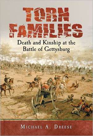 Torn Families: Death and Kinship at the Battle of Gettysburg de Michael A. Dreese