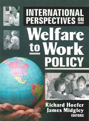 International Perspectives on Welfare to Work Policy de Richard Hoefer