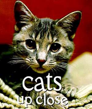 Cats Up Close de Vicki Croke